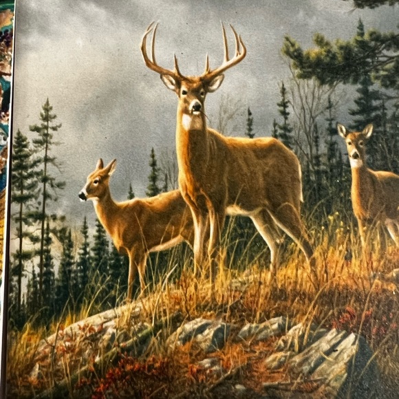 3 for $20. Bundle any 3 items priced $15 and under and get them for $20. 🛍️🛍️ - Picture 7 of 8